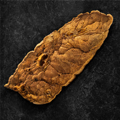 E3_K9_Performance_E3 K9 Ribeye Lung Steak